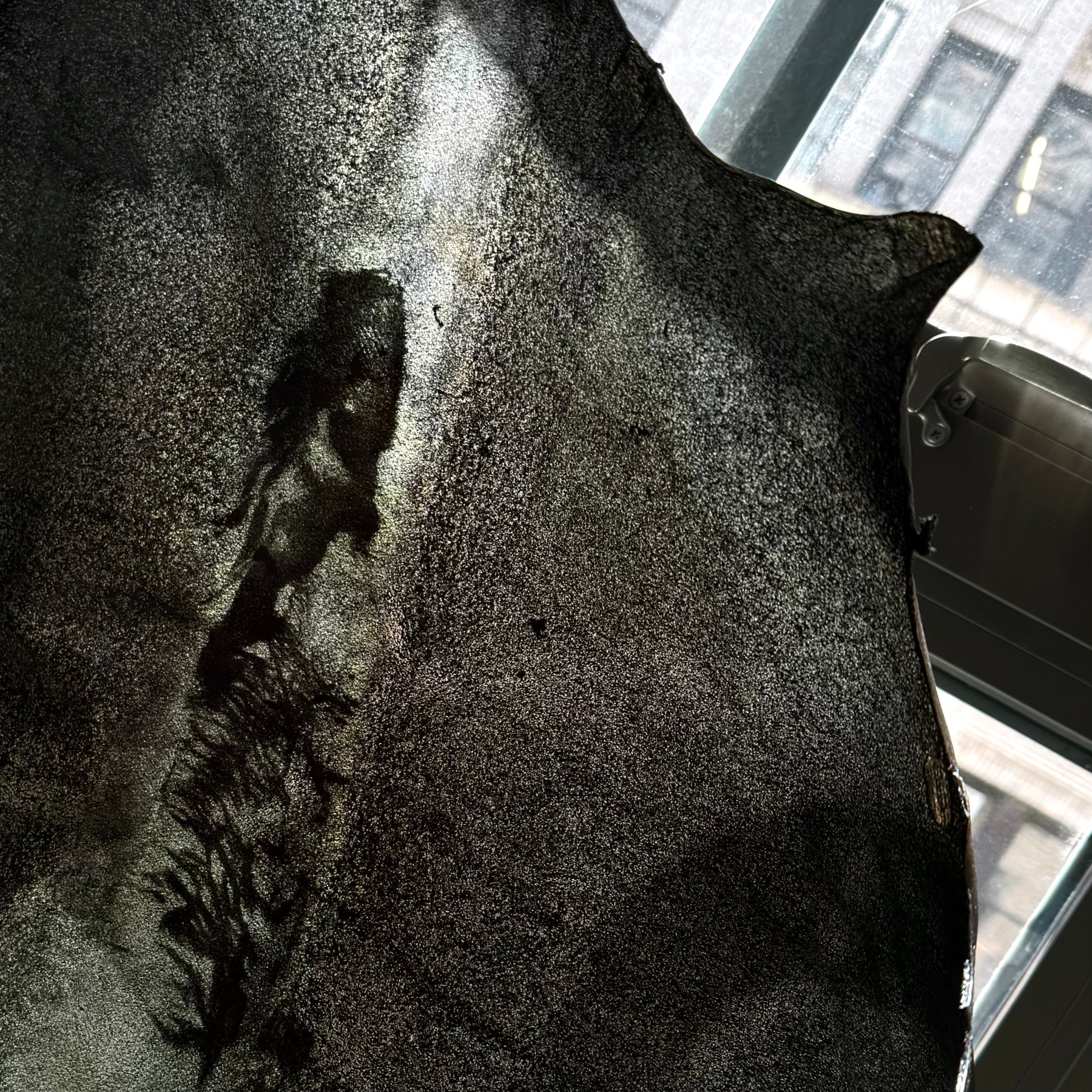 Italian Transparent Horse Leather