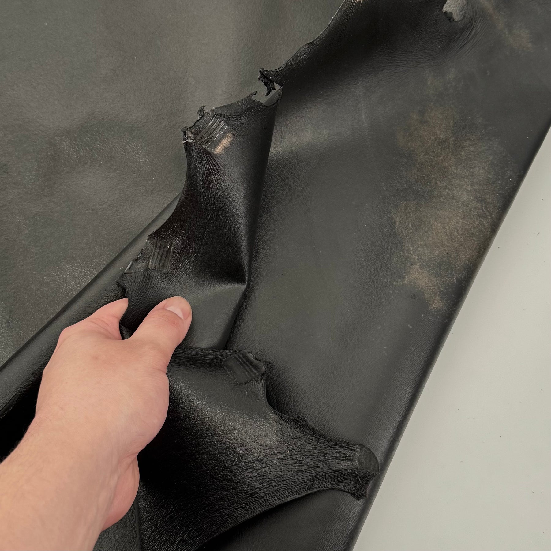 Italian Transparent Horse Leather