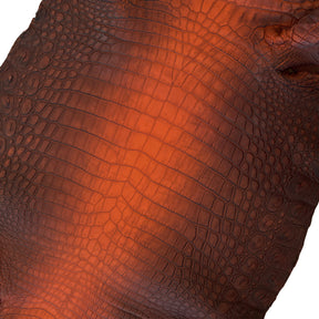 American Alligator Blood Orange | 42 cm