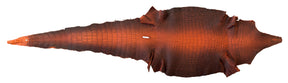 American Alligator Blood Orange | 42 cm