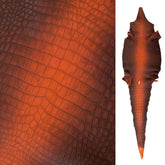 American Alligator Blood Orange | 42 cm