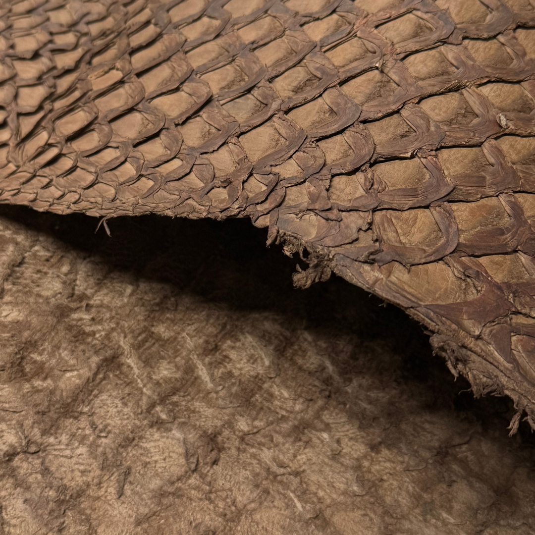 Inverted Pirarucu Fish Scale Leather | Cacao