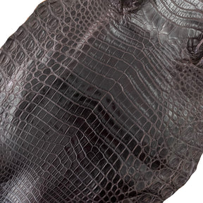 Nile Crocodile Brown | 28 cm