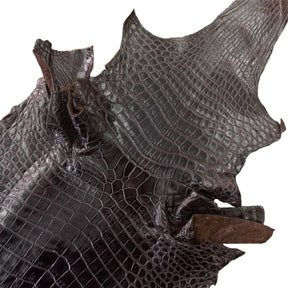 Nile Crocodile Brown | 28 cm