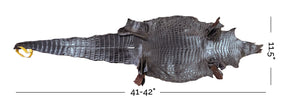 Nile Crocodile Brown | 28 cm