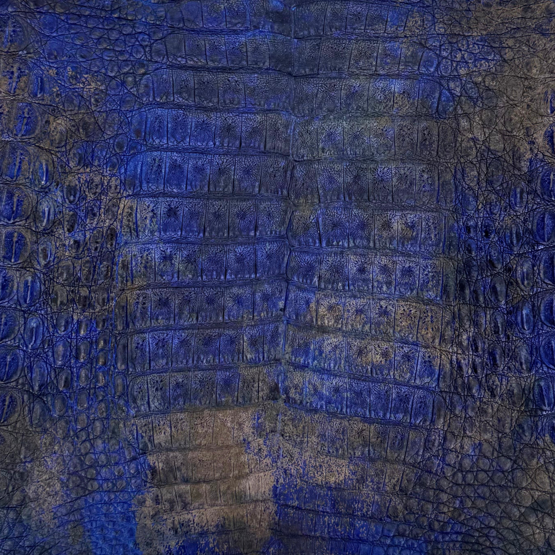 Gunmetal Blue Caiman Crocodile Belly leather for luxury accessories and goods.