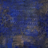 Gunmetal Blue Caiman Crocodile Belly leather for luxury accessories and goods.