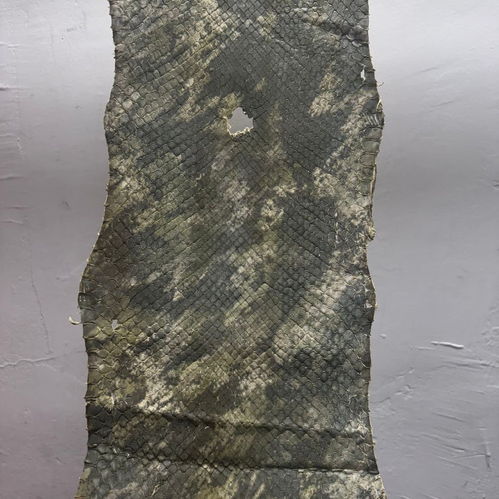 Genuine Python