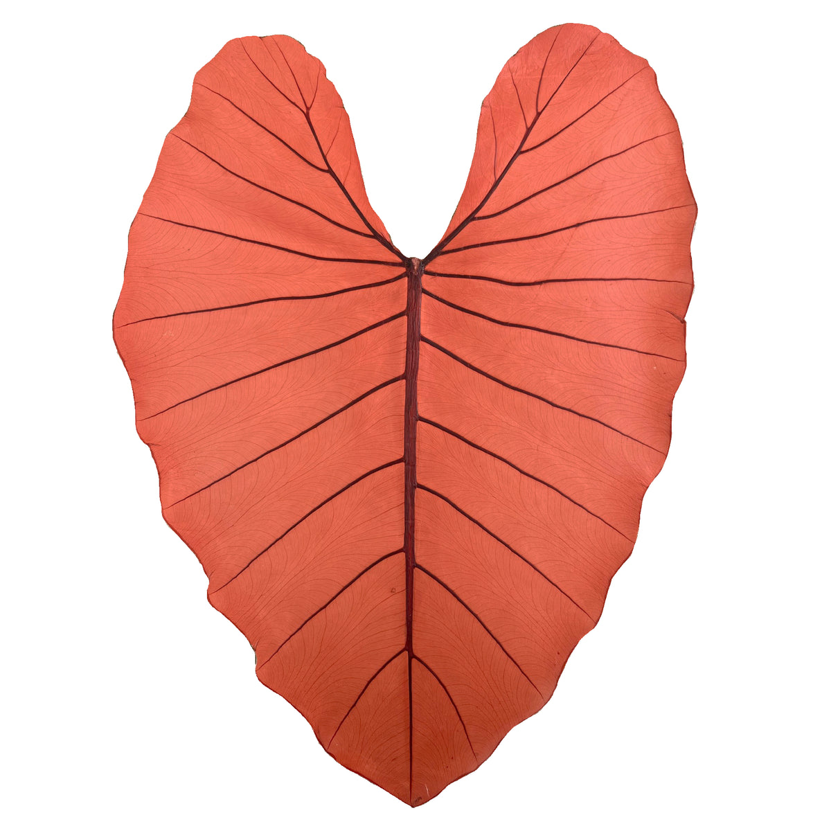 Leaf Leather | Chili