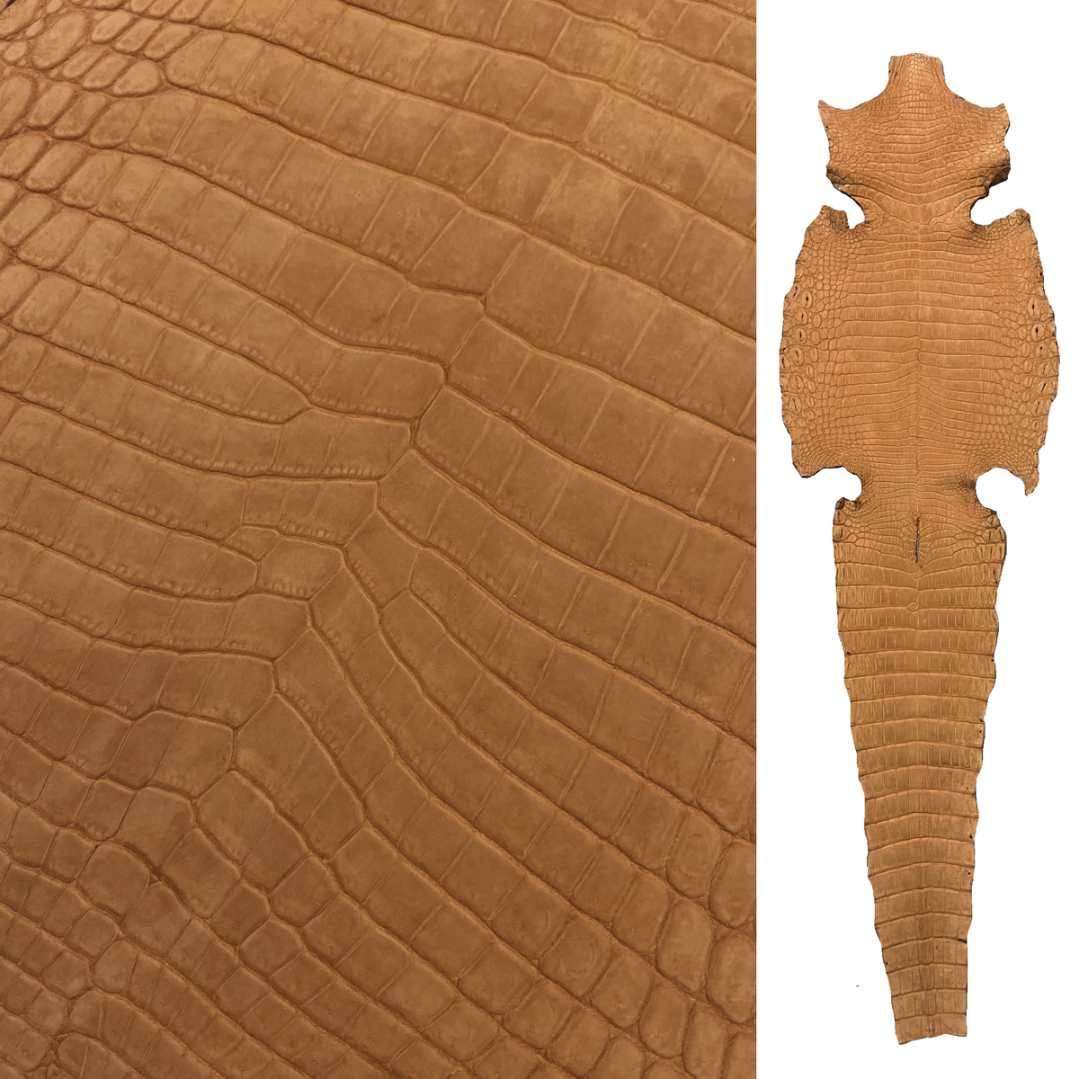Nubuck Italian-Made Crocodile | 50 cm