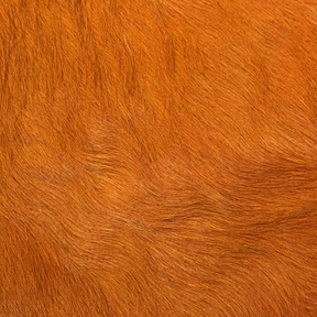 Contrast Two-Toned Hair-on Cow Hide | 2 week lead