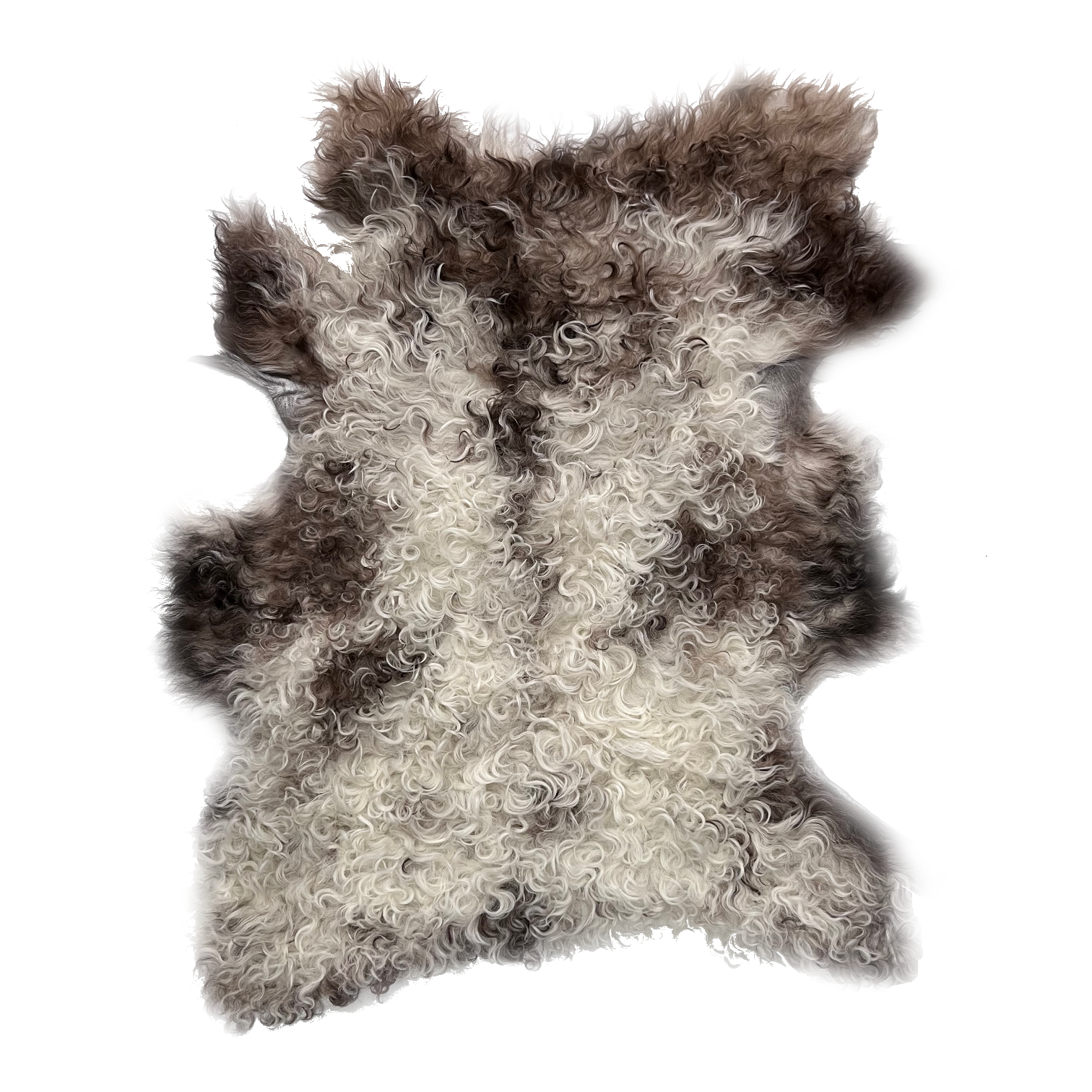Curly Merino Shearling | Cream & Brown