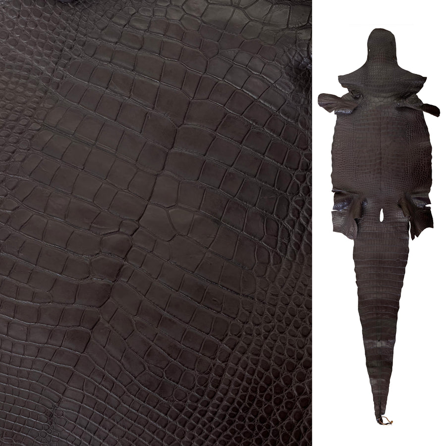 Authentic Genuine Real Brown World Best Alligator ~ Gator Skin Print main image 0