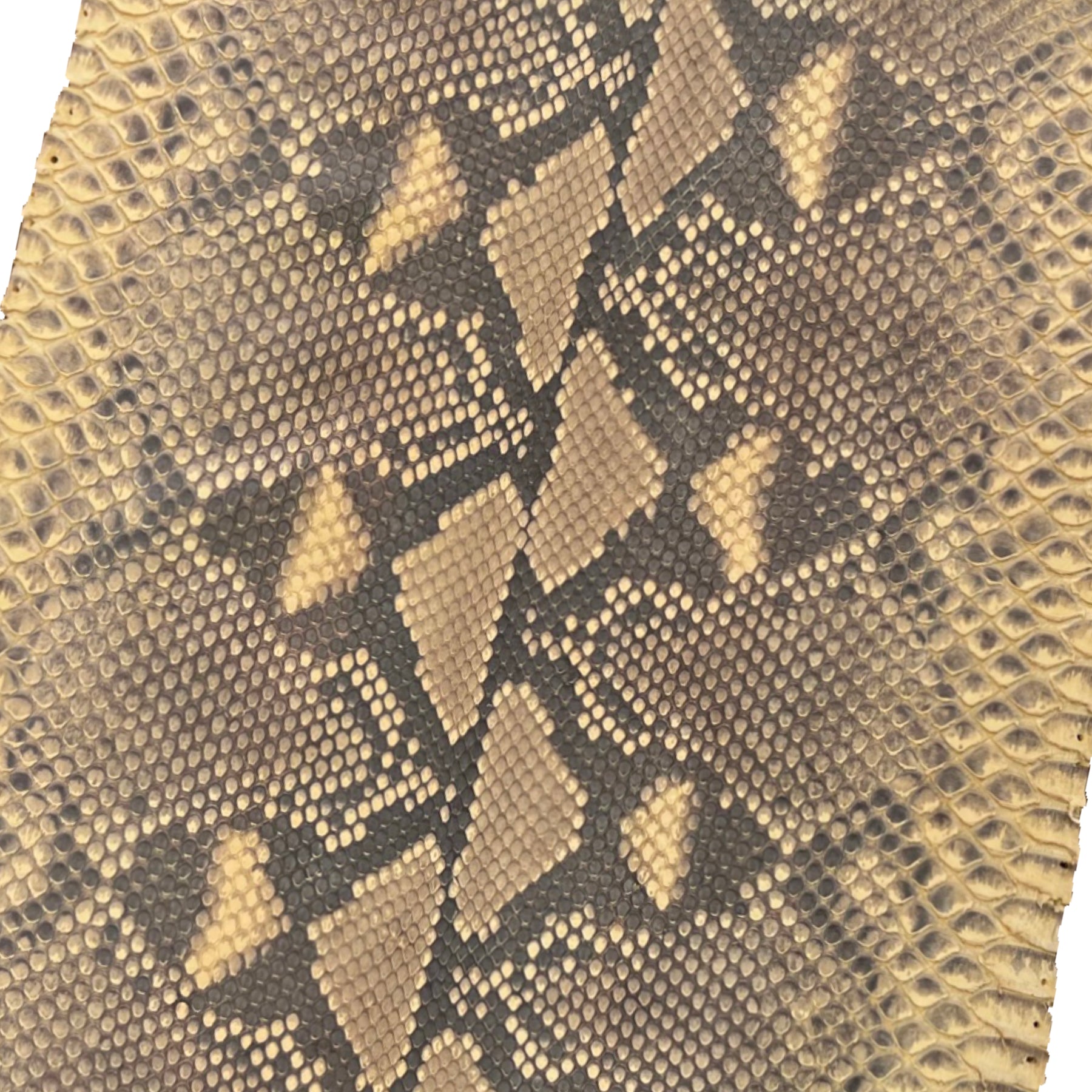 Python Desert Skin | 88"