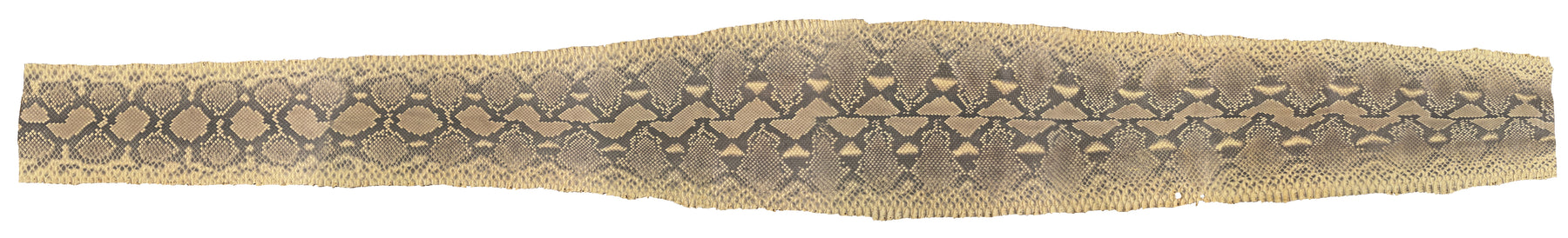 Python Desert Skin | 88"