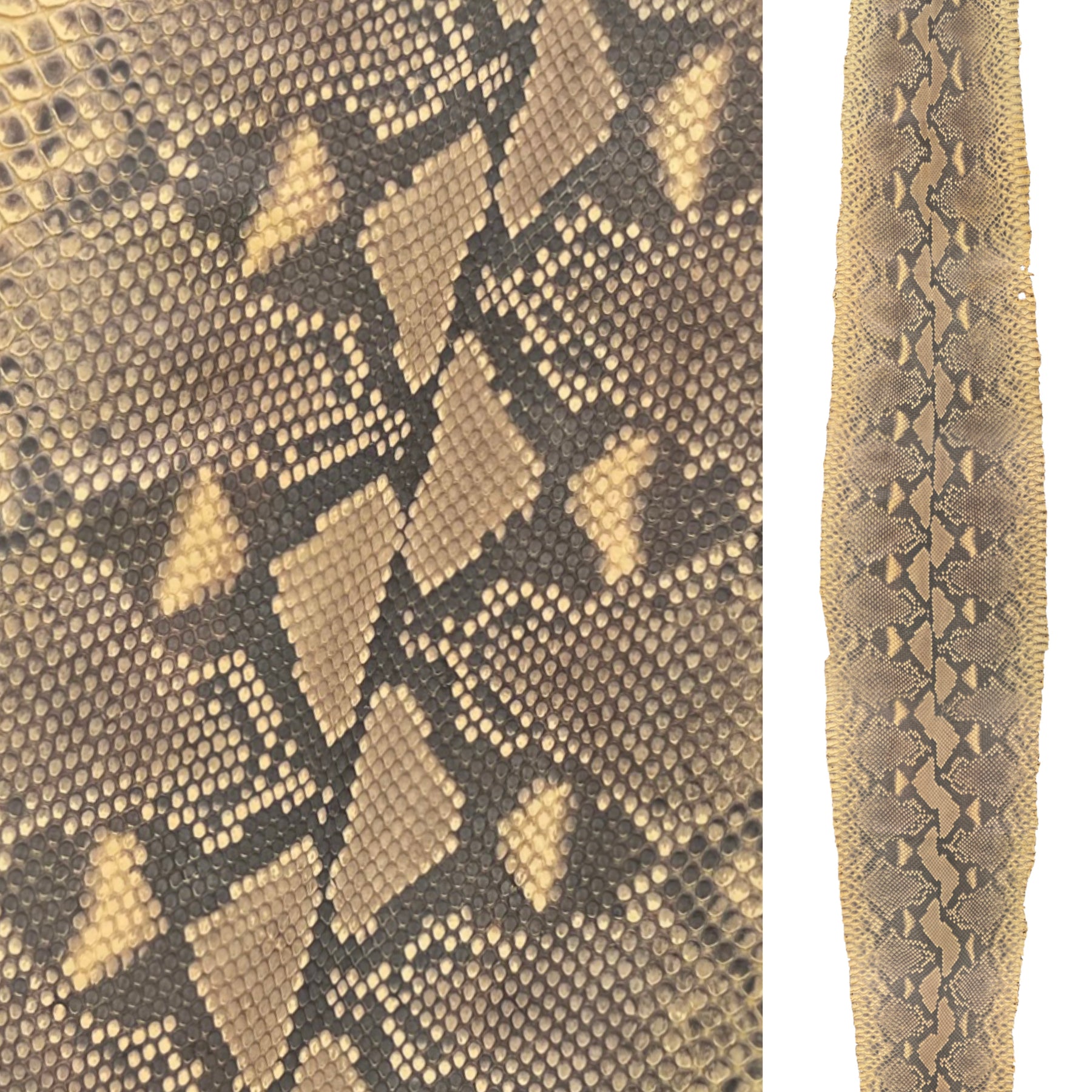 Python Desert Skin | 88"