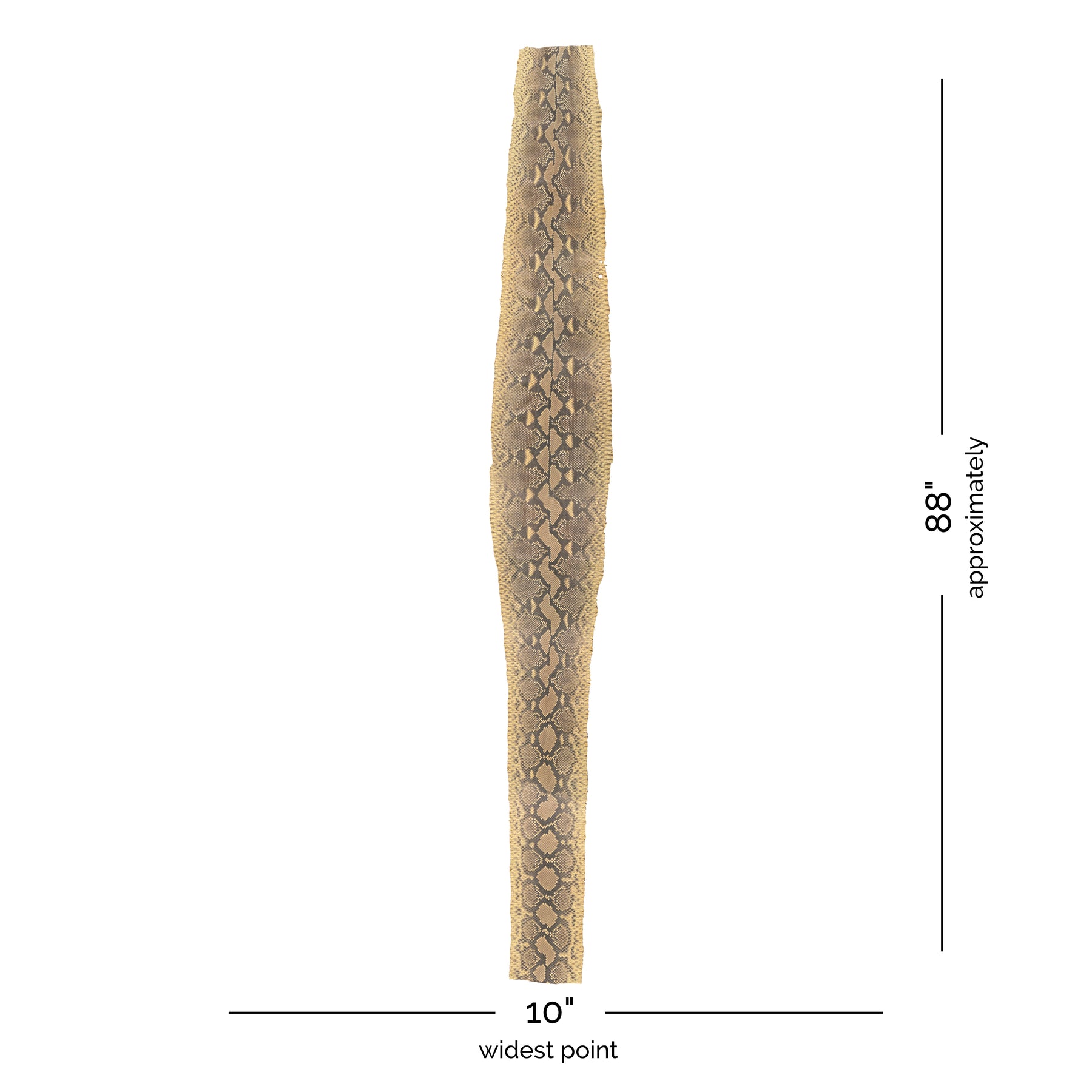 Python Desert Skin | 88"