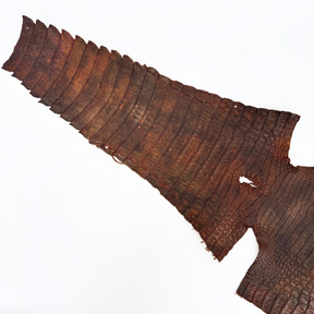 Caiman Crocodile | Rust Veil | Full Skin