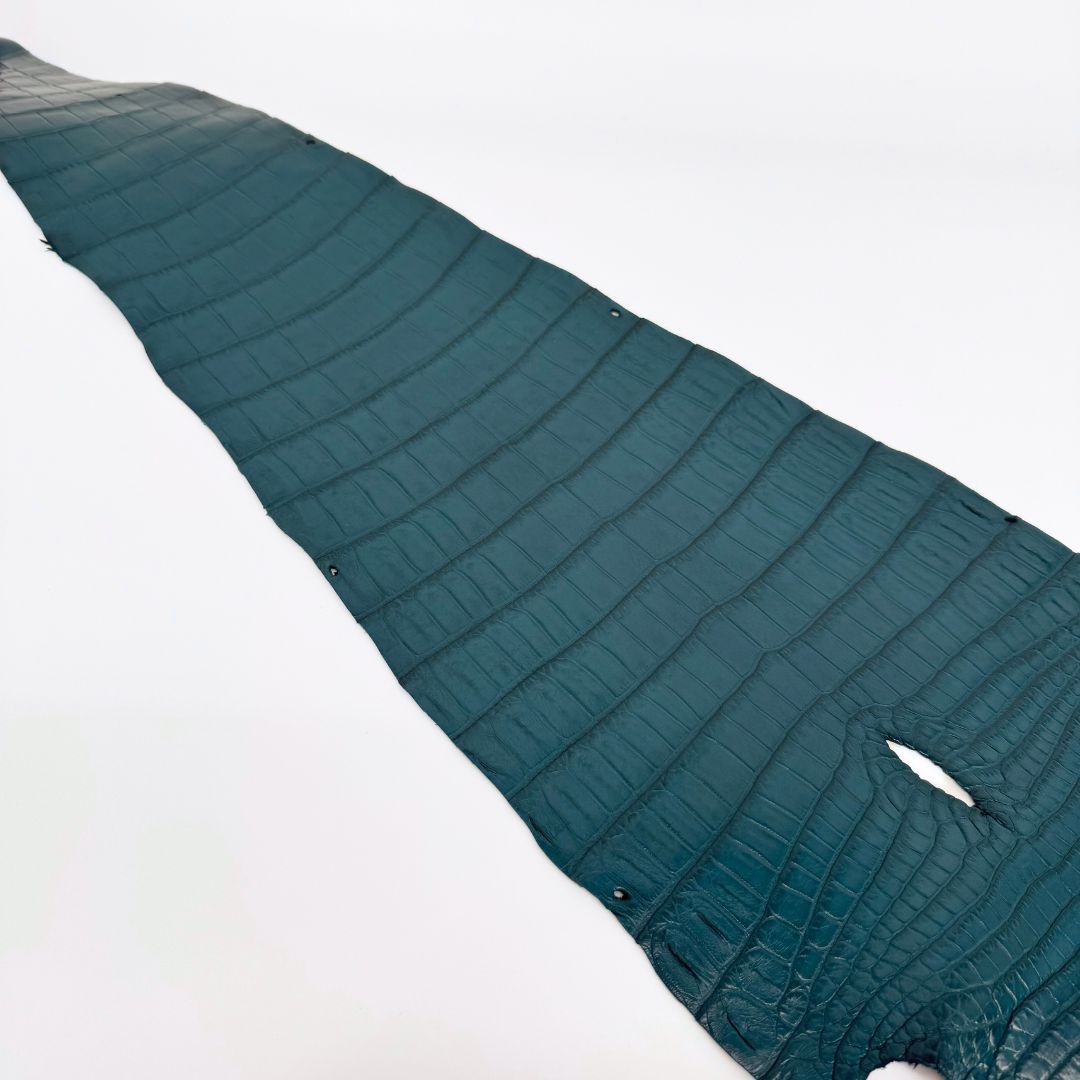 Italian Crocodile | Cyan | 33 cm