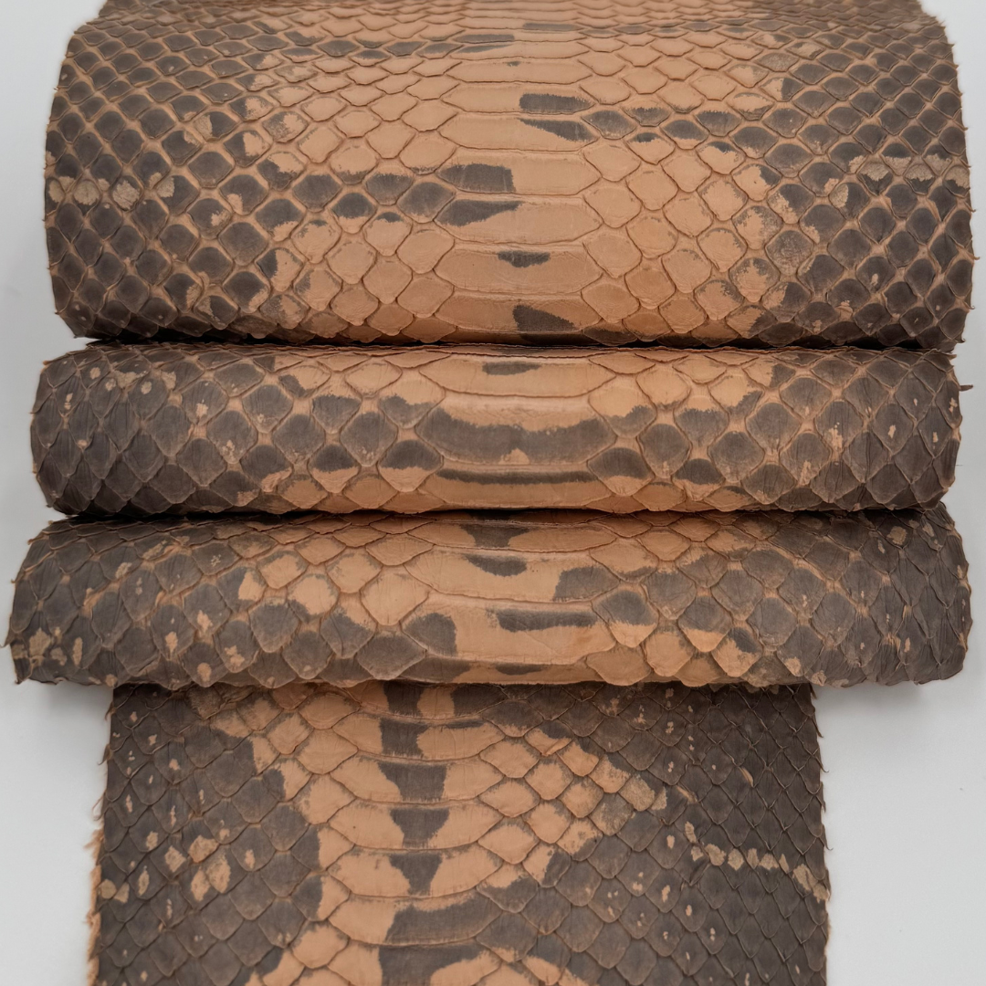 Flexible Canyon Mist Elaphe snake panel for belts, clutches, and tech cases.