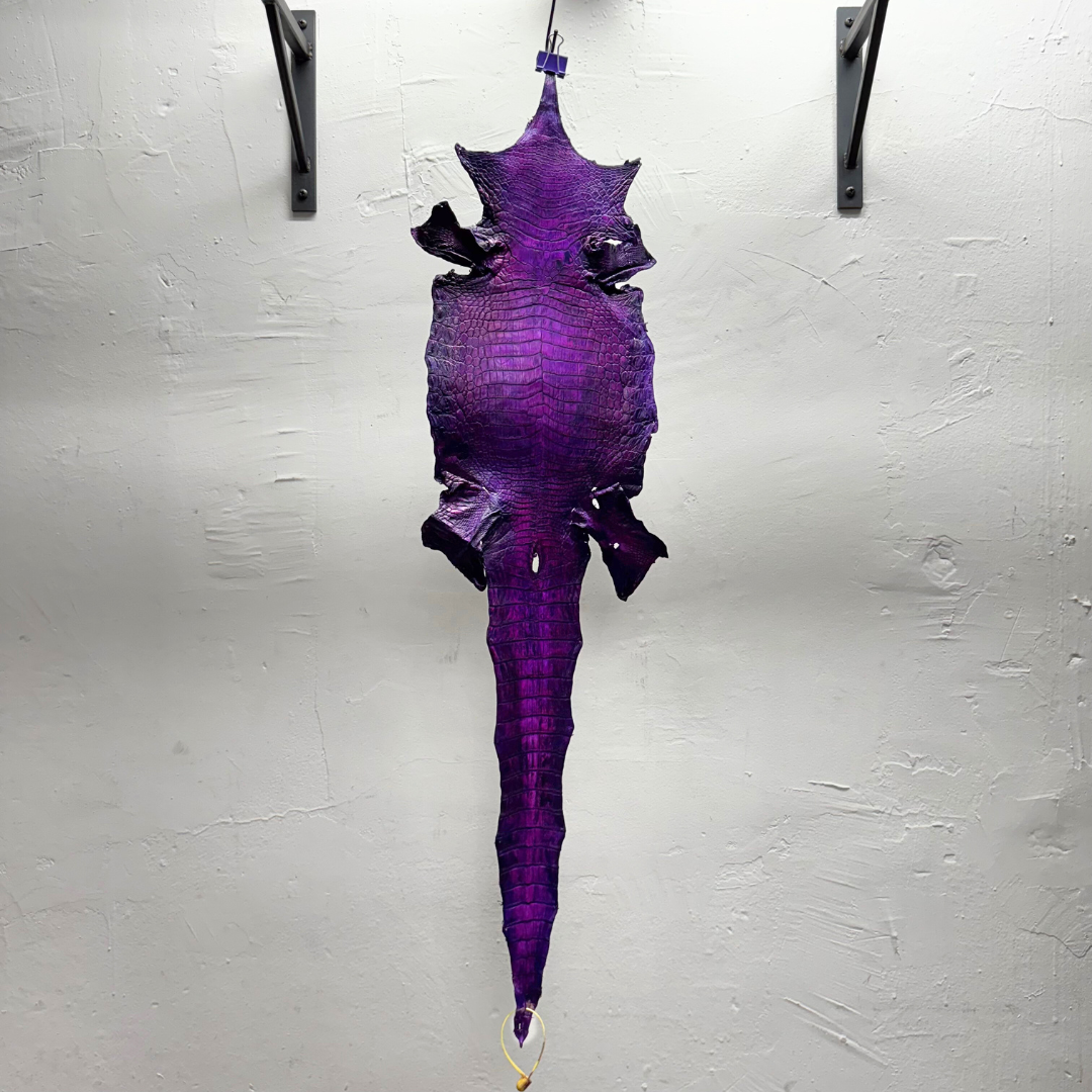 Hand Painted Nile Crocodile | Violet x Fuxia | 23 cm