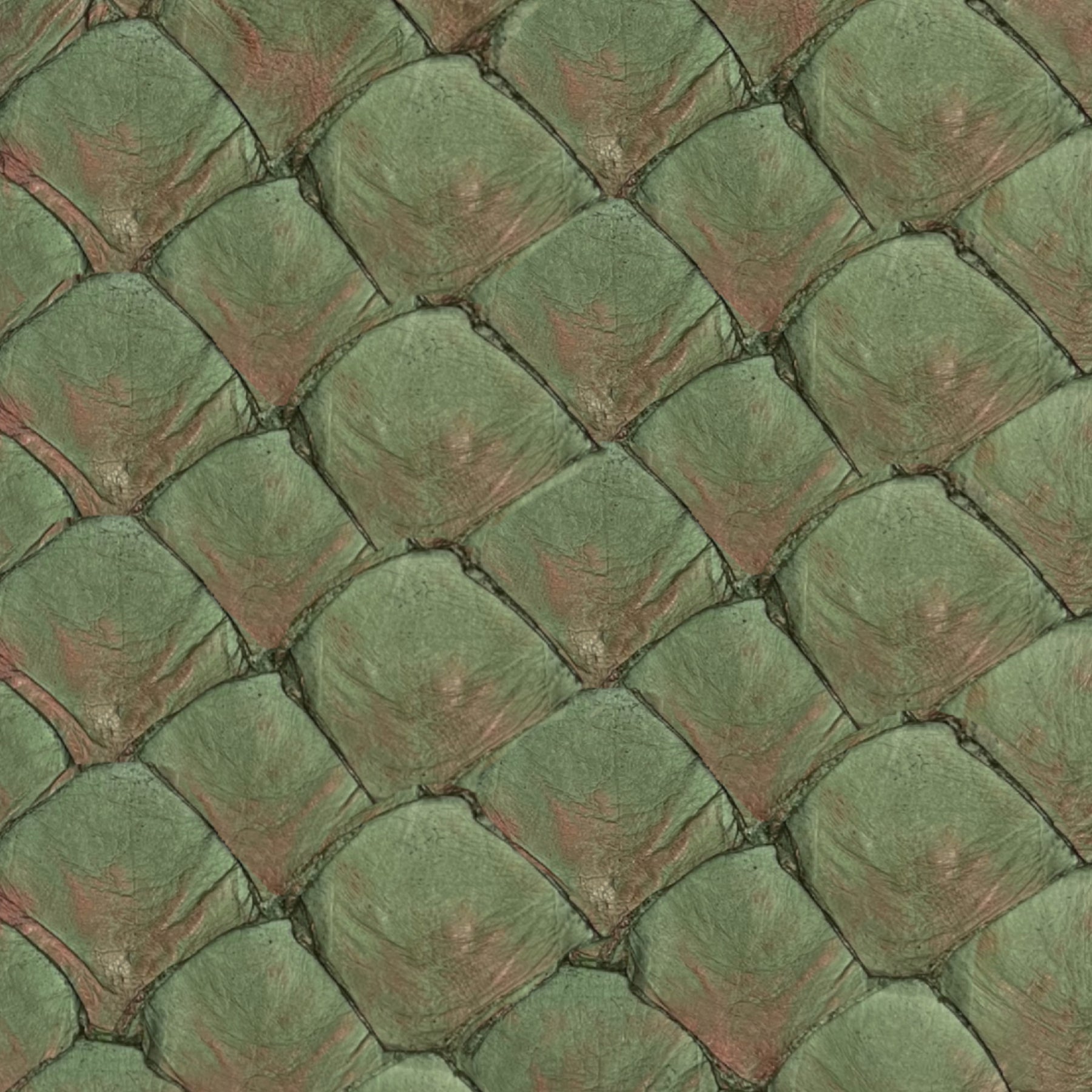 pirarucu leather