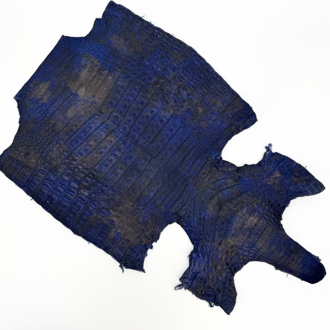 Gunmetal Blue Caiman Crocodile leather for high-end bags, shoes, and garments.