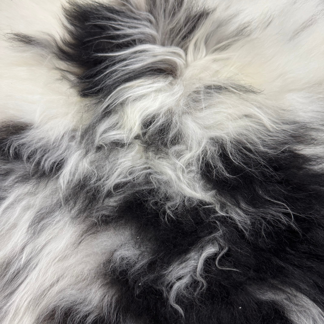 Himalayan Long Hair Lambskin | Naturally Spotted