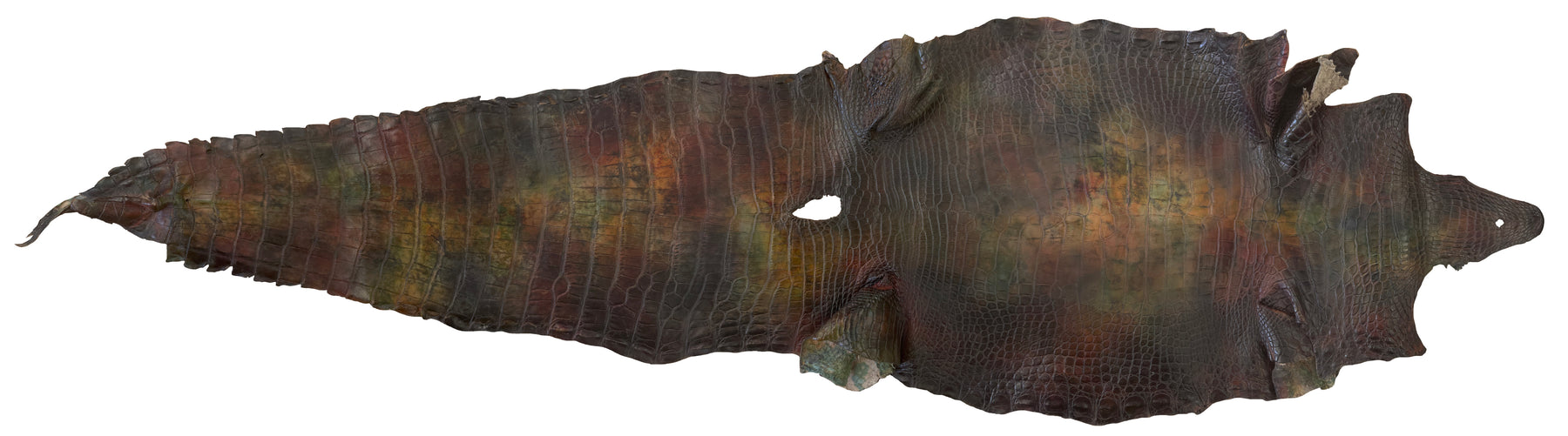 American Alligator Hand-Painted Forest | 37 cm