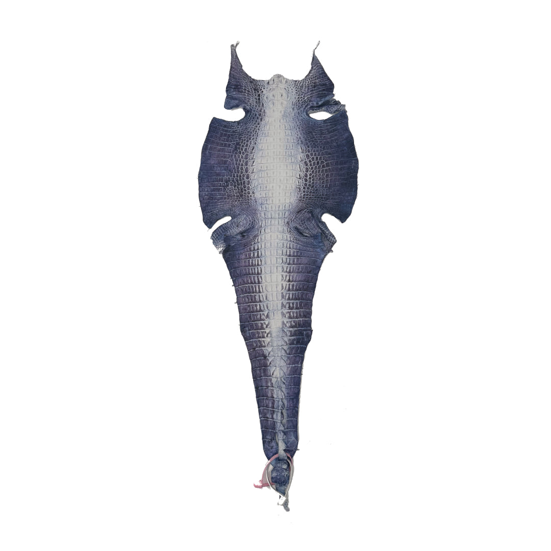 Hornback Crocodile Dyed in New York City | Only 1 available!