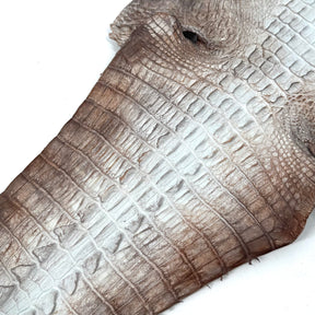 Hornback Crocodile Dyed in New York City | Only 1 available!