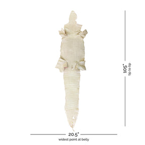 Wild American Alligator Ivory | 52 cm