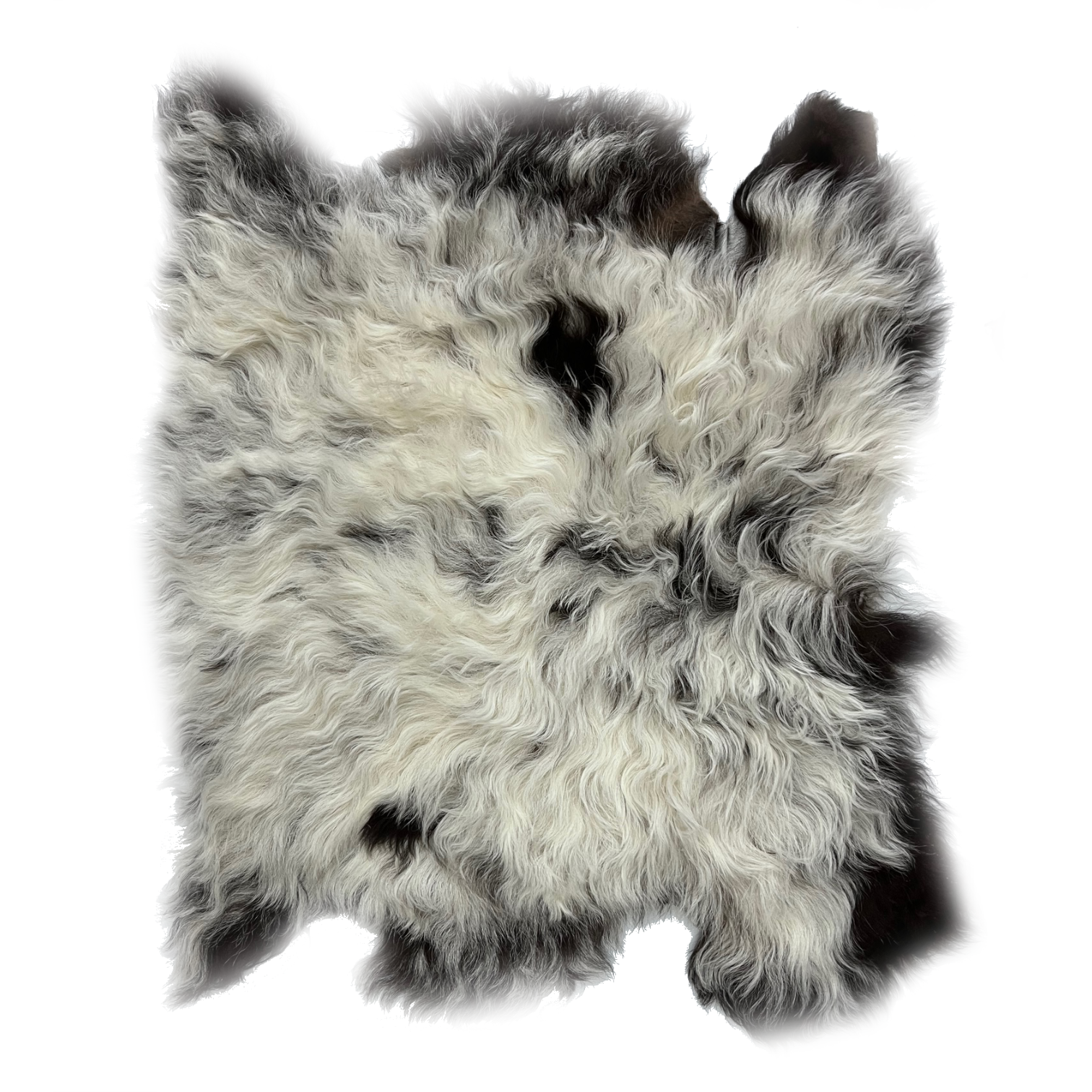 Curly Merino Shearling | Ivory & Dark Brown