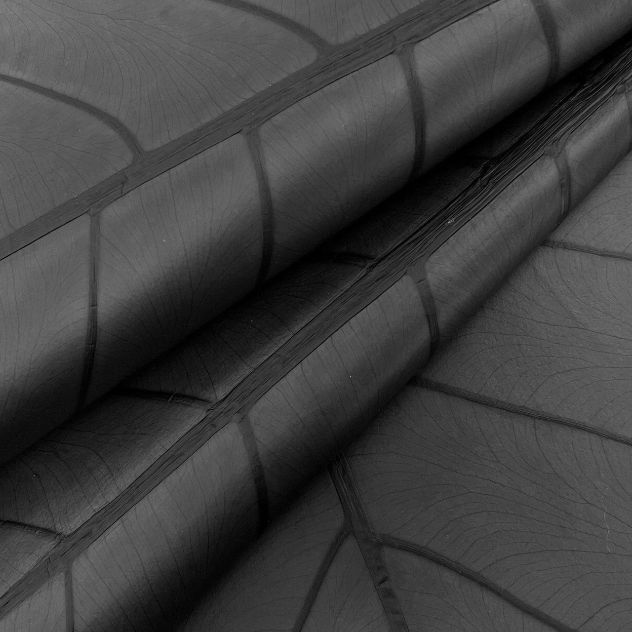 Leaf Leather | Jet Black