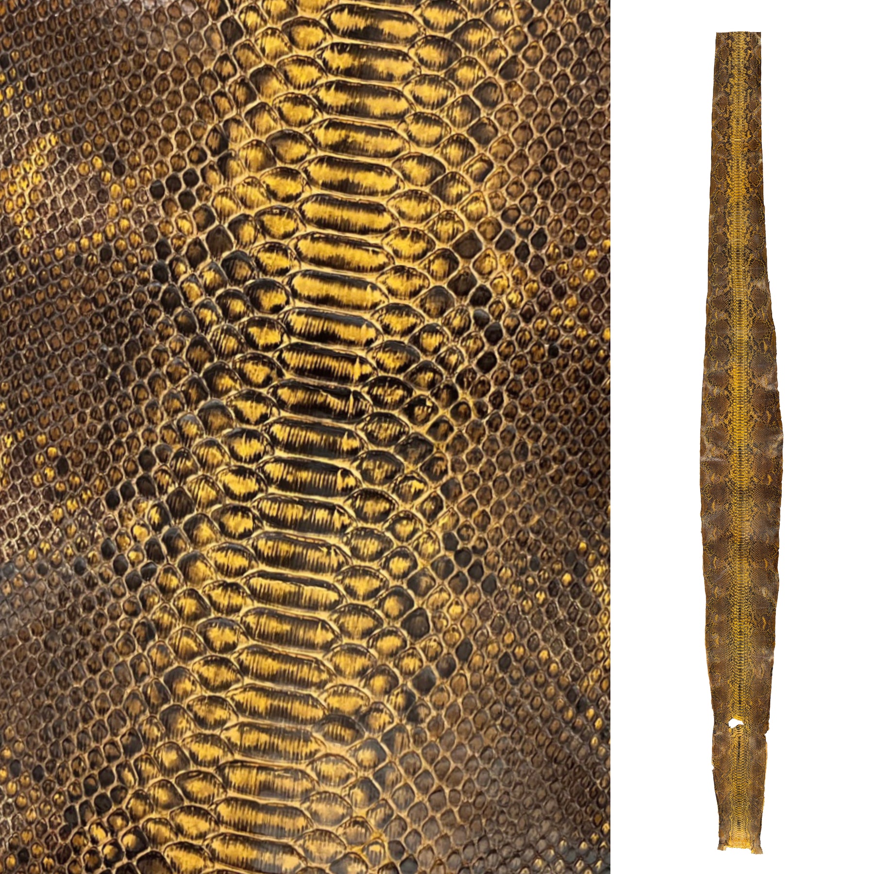 Python Jungle Skin | 114"