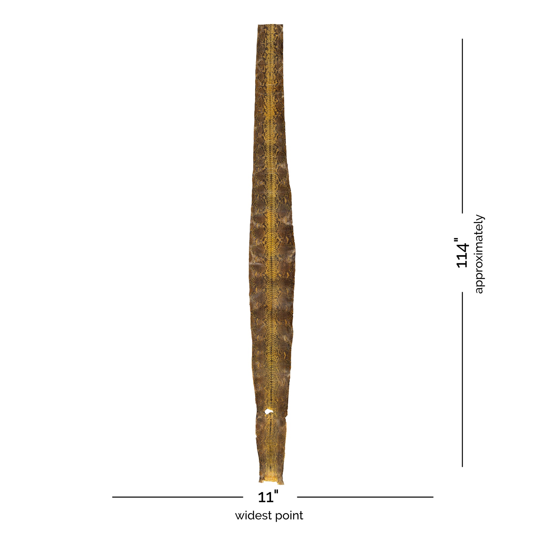 Python Jungle Skin | 114"