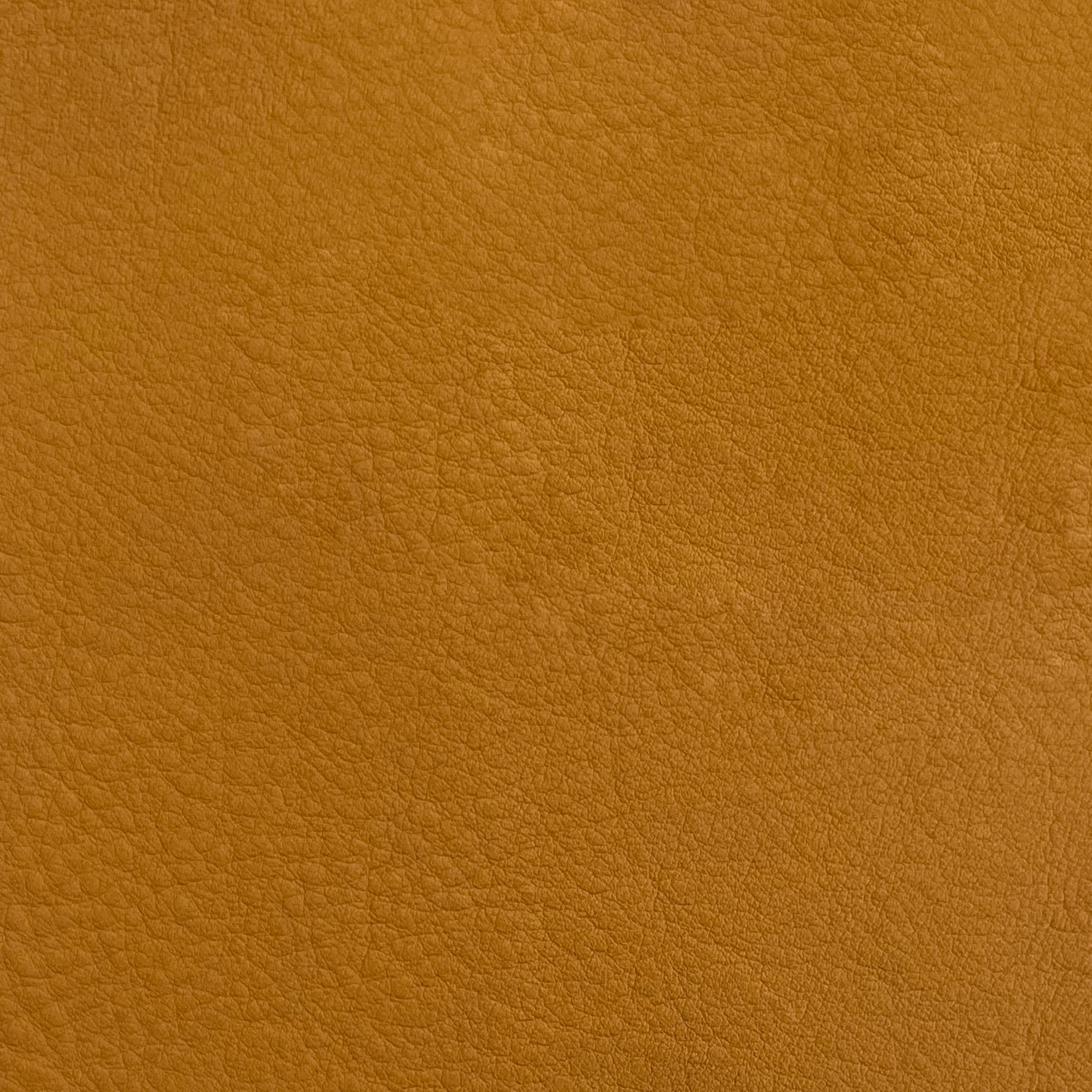 King's Cow Natural Grain Cow Hide