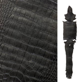 Wild American Alligator Semi-Glazed Black | 34 cm