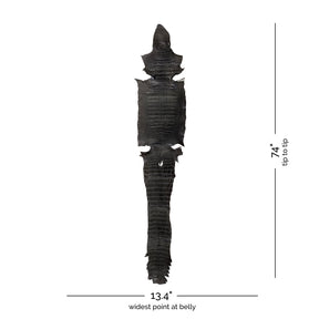 Wild American Alligator Semi-Glazed Black | 34 cm