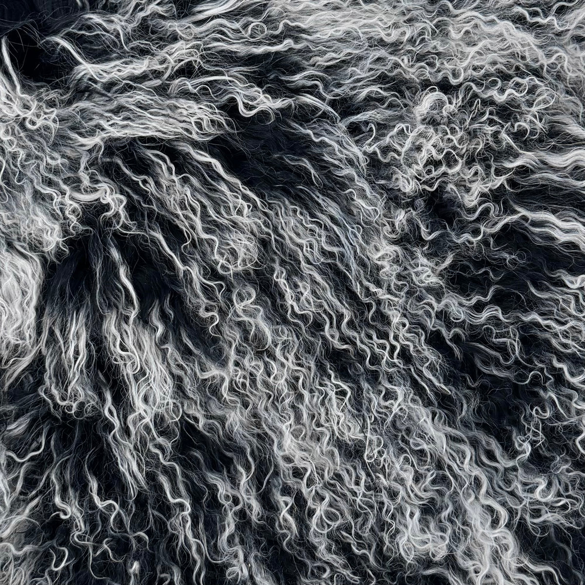 Mongolian Curly Lamb Plate | Ships in 4-5 Days