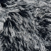 Mongolian Curly Lamb Plate | Ships in 4-5 Days