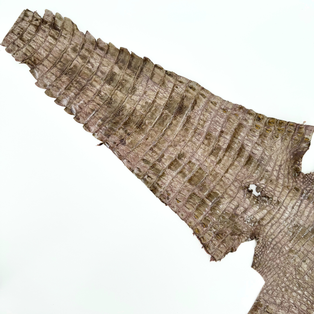 Unique Moss Quartz Caiman crocodile skin for statement leather pieces.