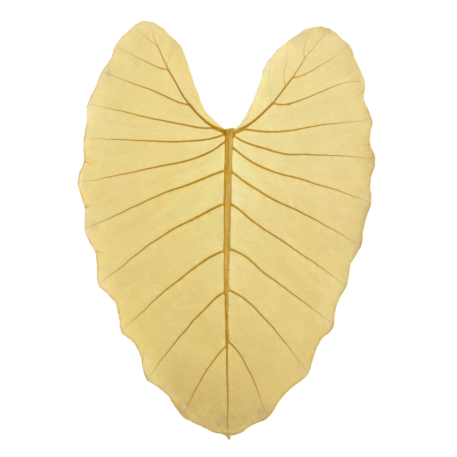 Leaf Leather | Natural