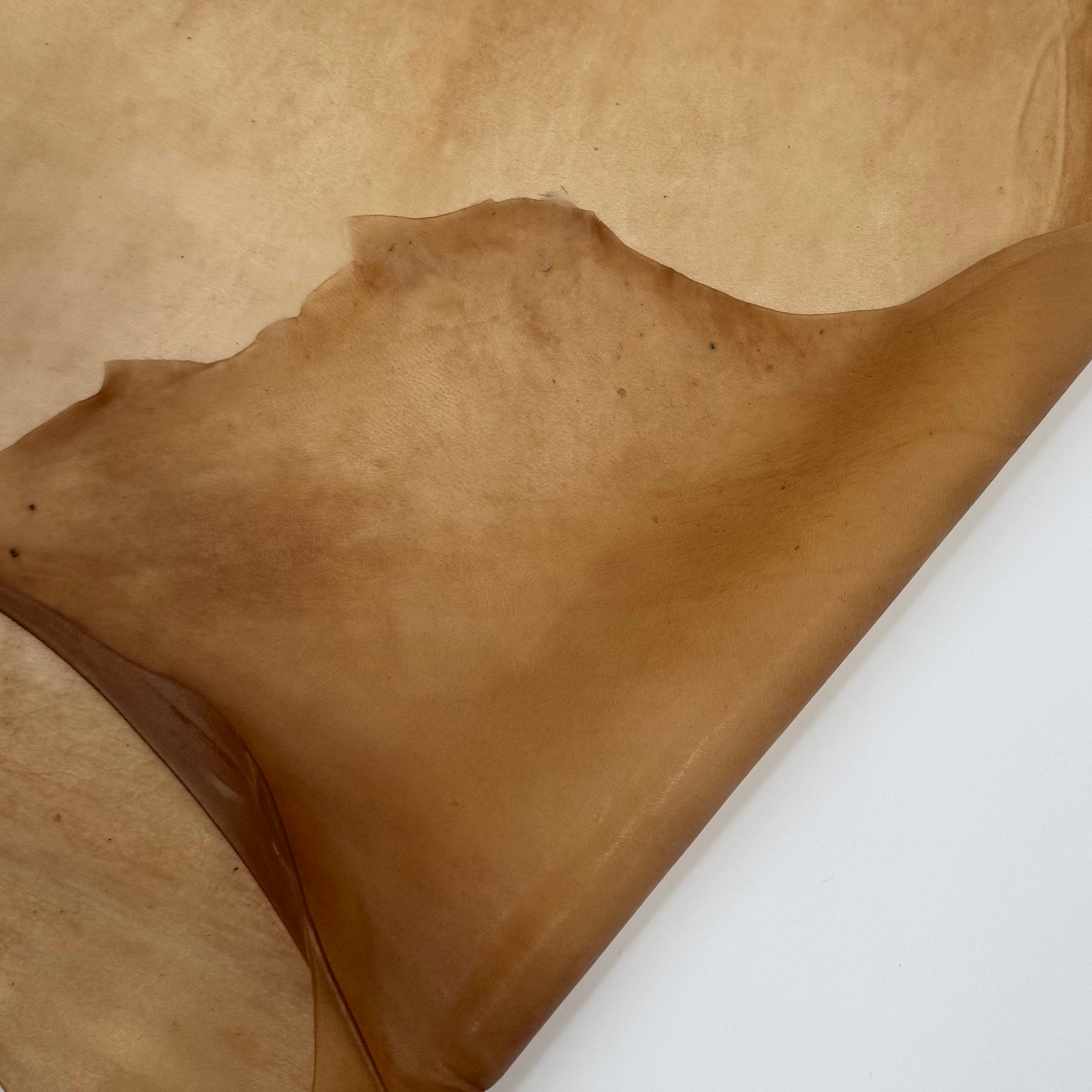 Transparent Lamb Leather