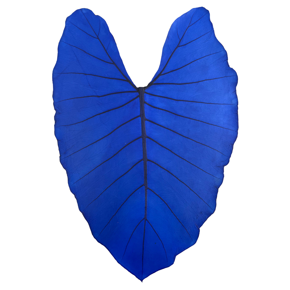 Leaf Leather | Navy