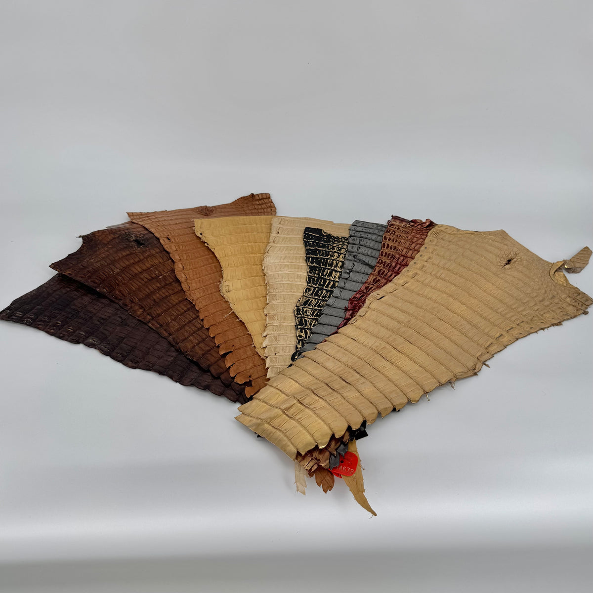 Assorted neutral caiman tail skins bundle featuring natural tones