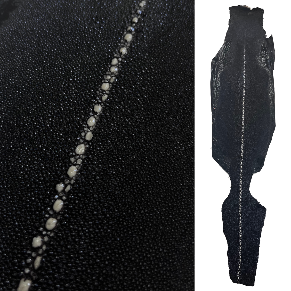 Row Stingray/Shagreen Genuine Skin | Black