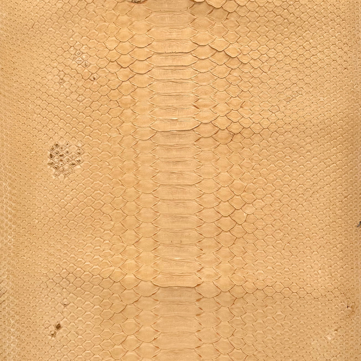 Nubuck Python leather hide in a soft dried peach color, perfect for luxury leather goods.