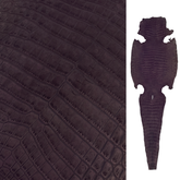 Nubuck Italian-Made Crocodile | 40 cm