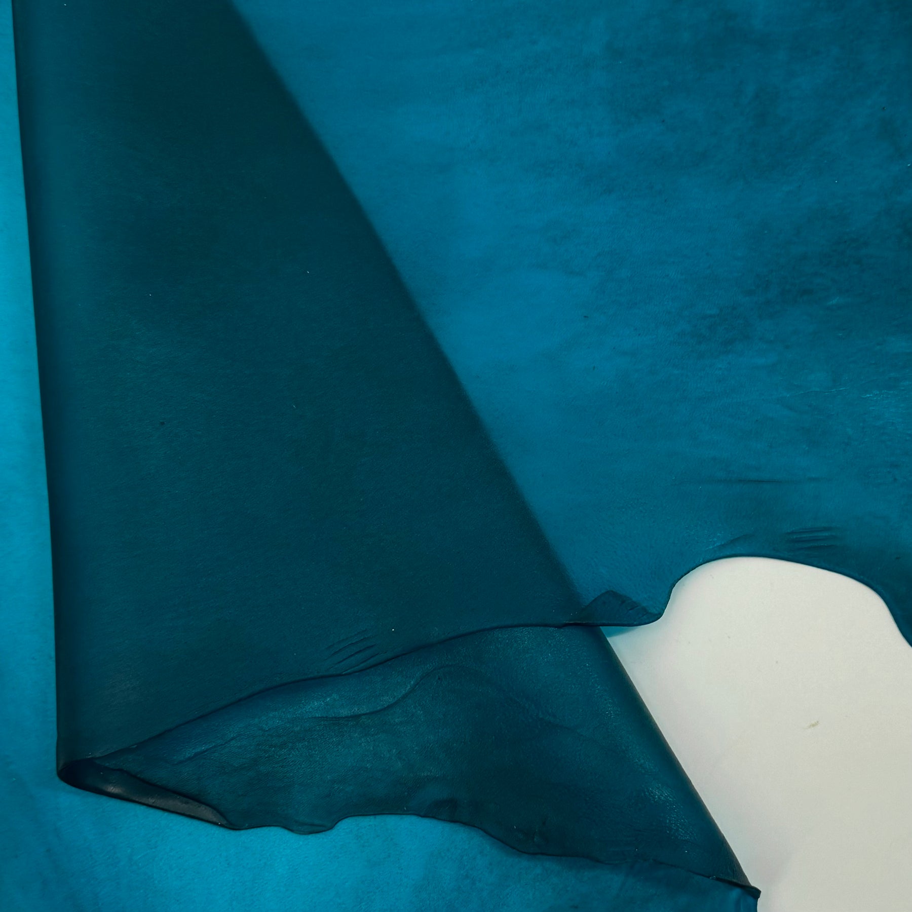 Transparent Lamb Leather